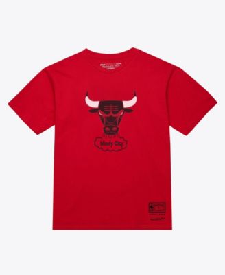 Мужская и женская футболка Mitchell & Ness Chicago Bulls Hardwood Classics Arch, цвет Red
