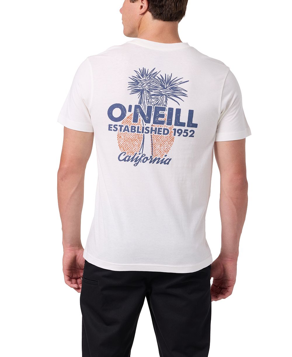 Мужская футболка O'Neill Regular-Fit Graphic