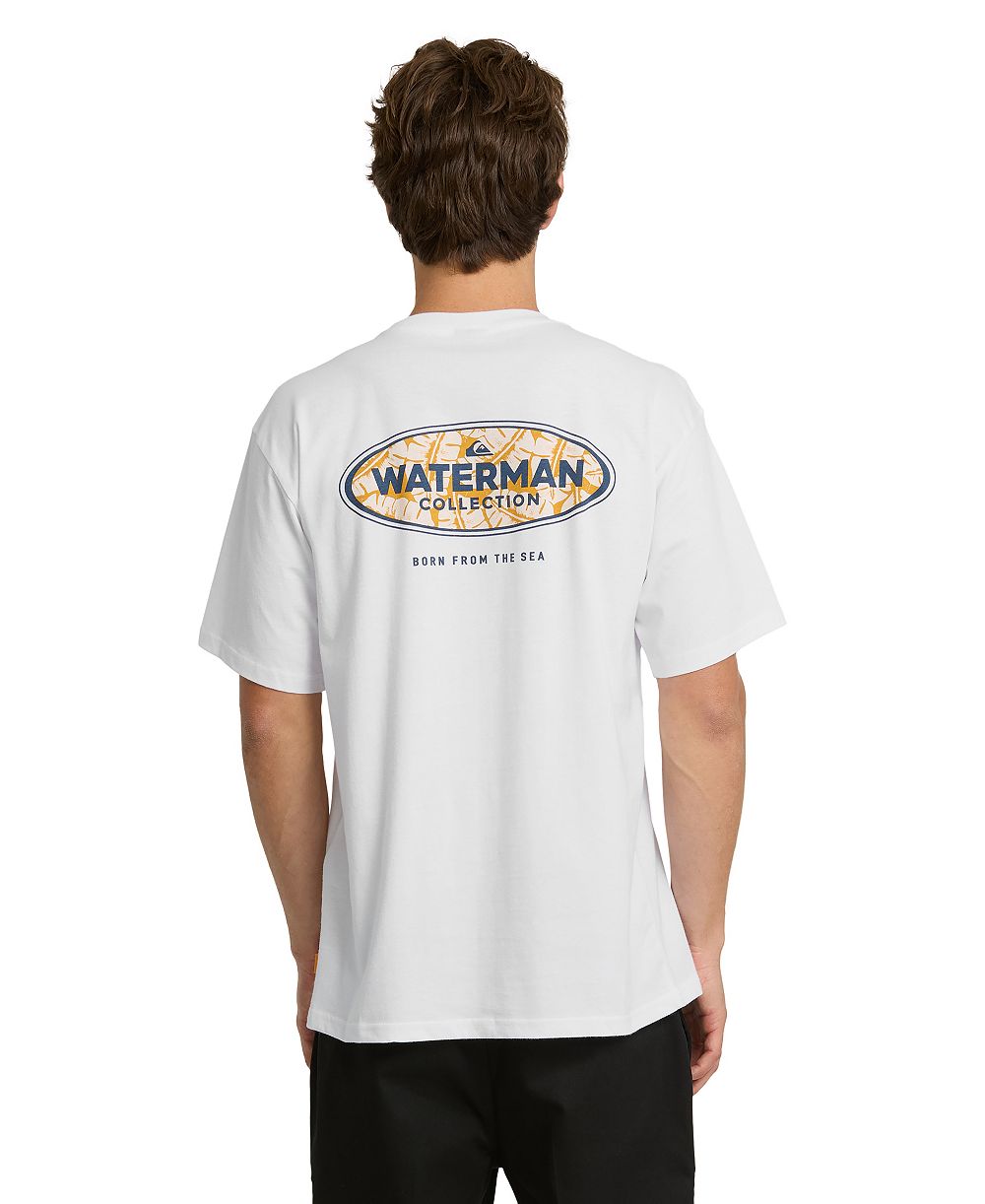 Мужская футболка Quiksilver Waterman Inter Fill Graphic