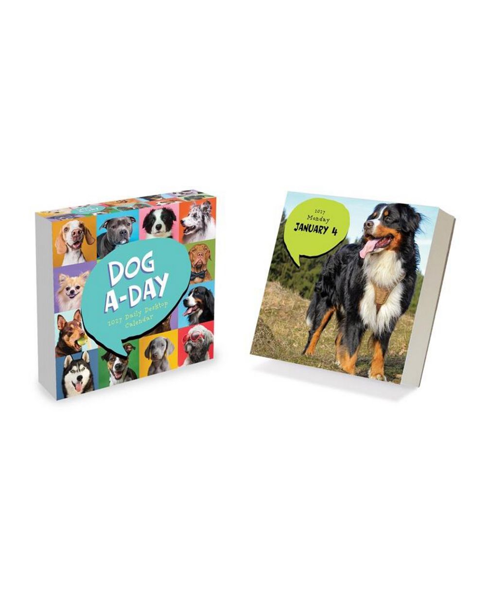TF Publishing Paper Goods 2027 Dog A Day Daily Desktop Calendar