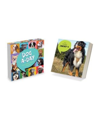 Ежедневный настольный календарь TF Publishing Paper Goods 2027 Dog A Day