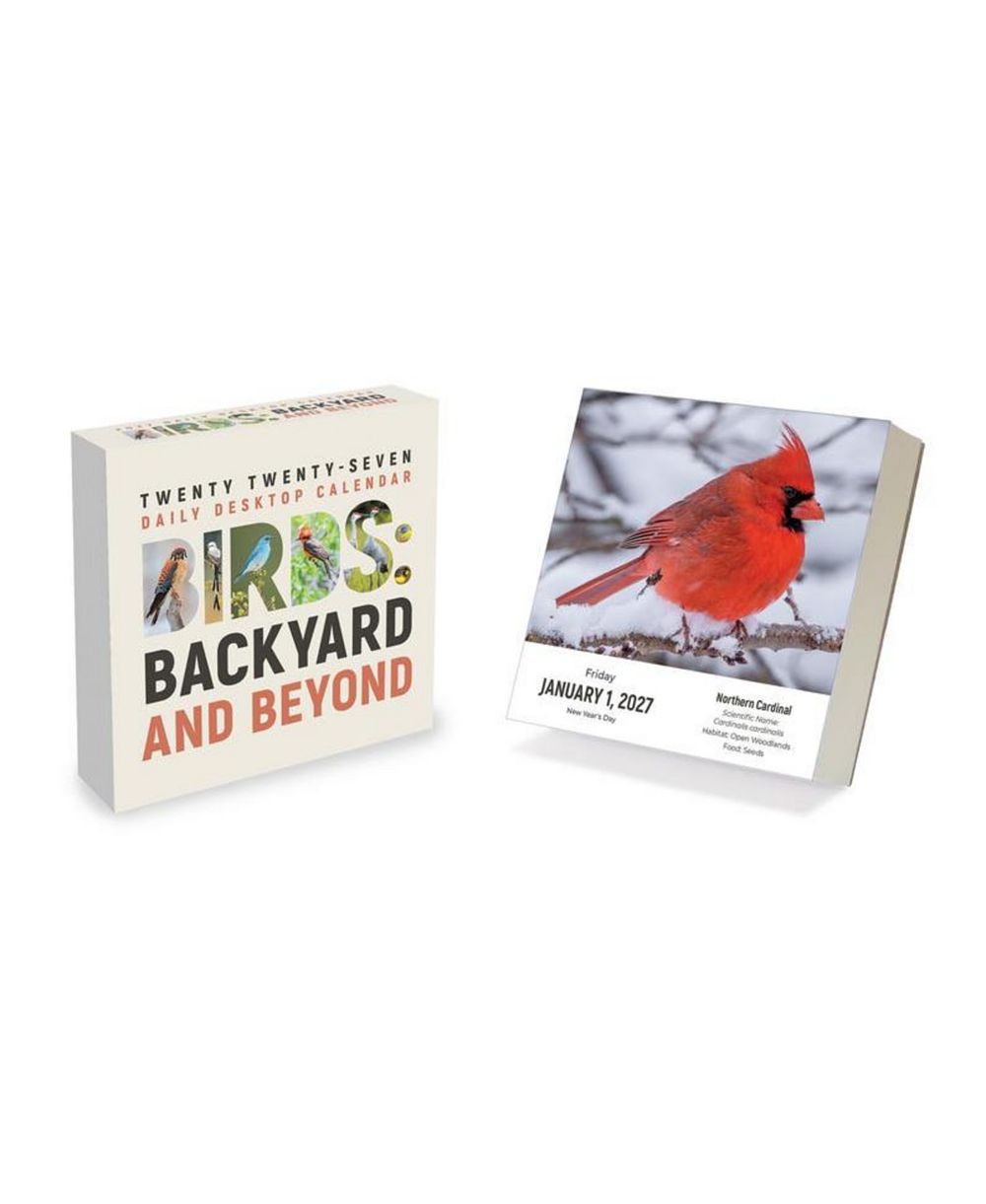 TF Publishing Paper Goods 2027 Birds Backyard and Beyond Daily Desktop Calendar