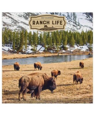 TF Publishing Paper Goods 2027 Ranch Life Wall Calendar