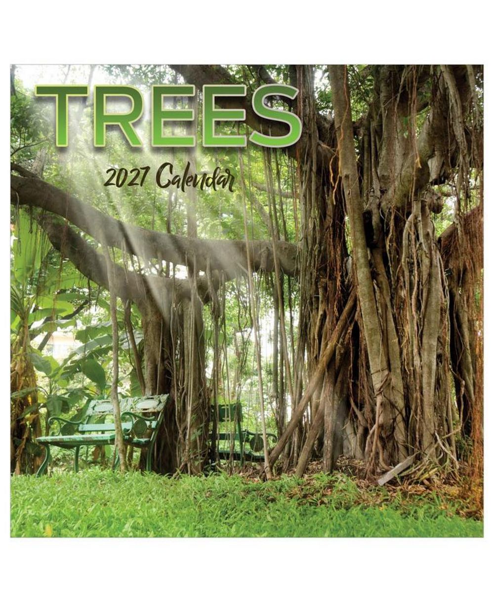 TF Publishing Paper Goods 2027 Trees Wall Calendar