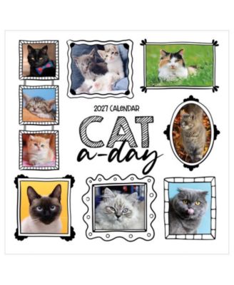 Настенный календарь TF Publishing Paper Goods 2027 Cat-A-Day