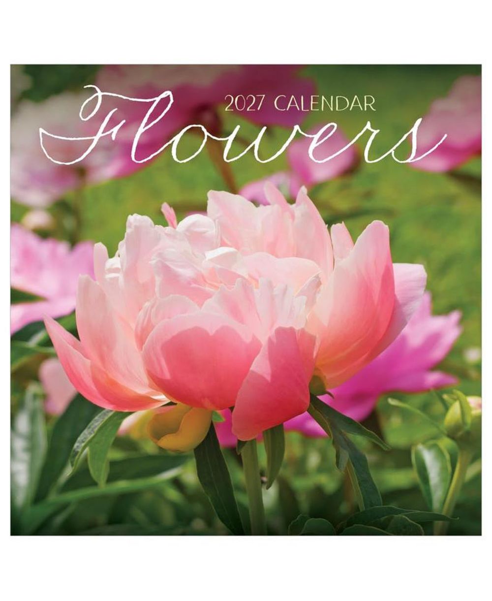 TF Publishing Paper Goods 2027 Flowers Wall Calendar
