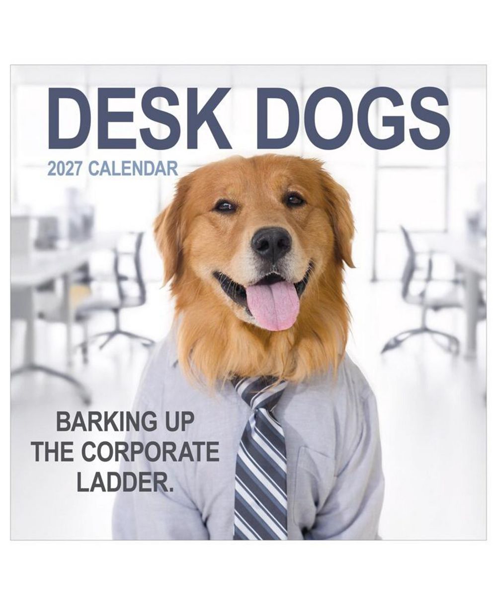 TF Publishing Paper Goods 2027 Desk Dogs Wall Calendar