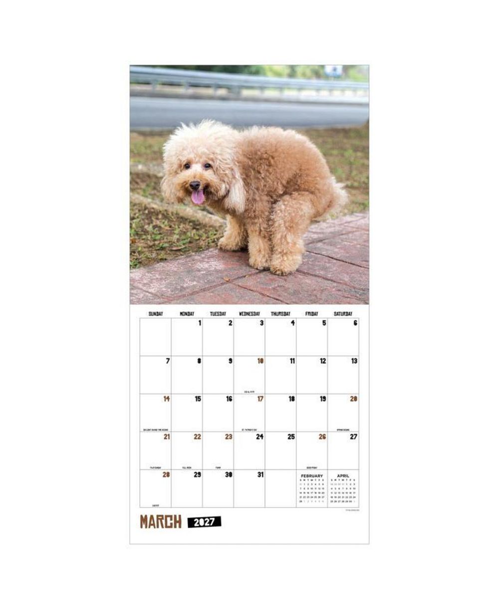Настенный календарь TF Publishing Paper Goods 2027 Pooping Dogs