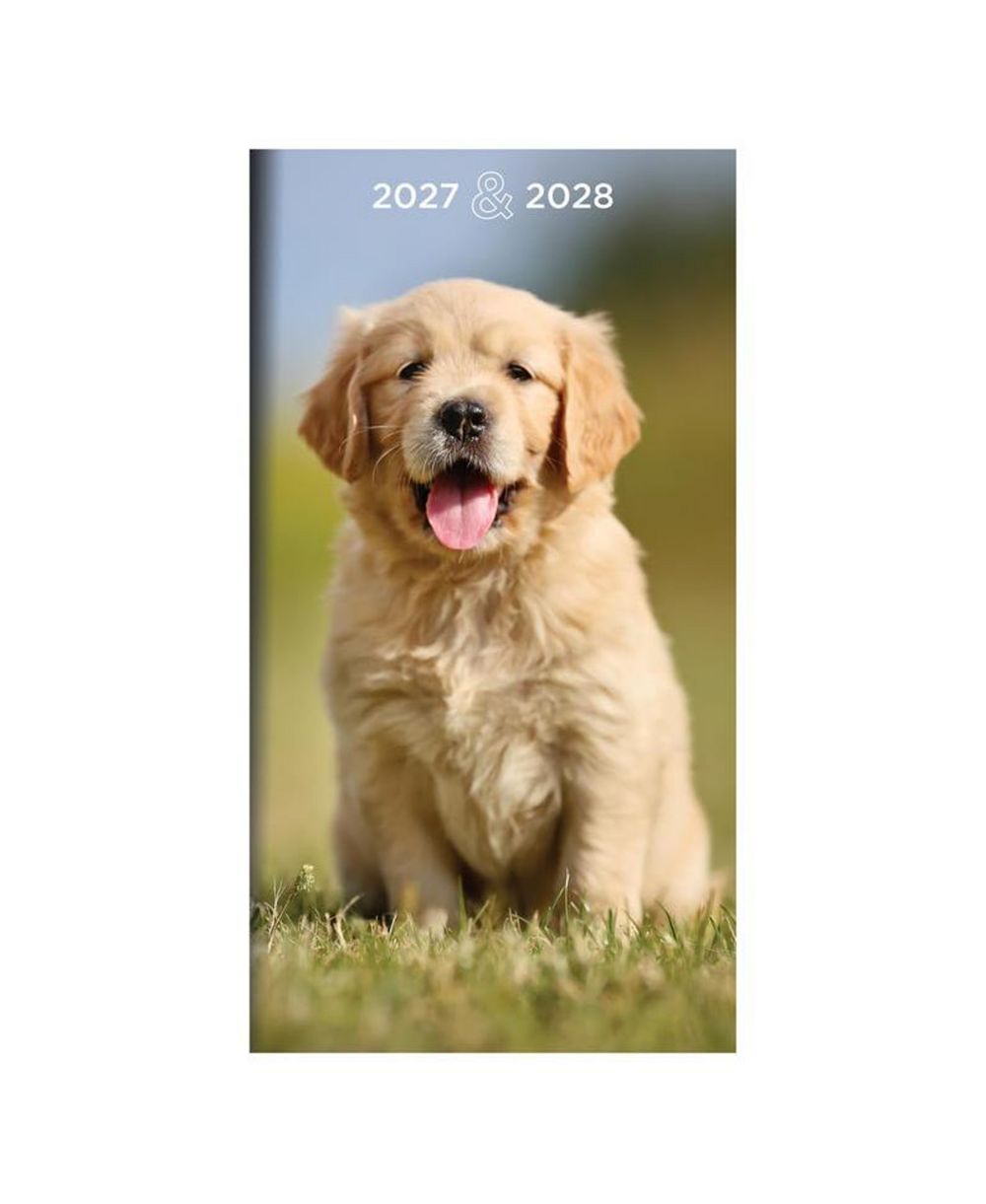 TF Publishing ежедневник 2027-2028 с собаками
