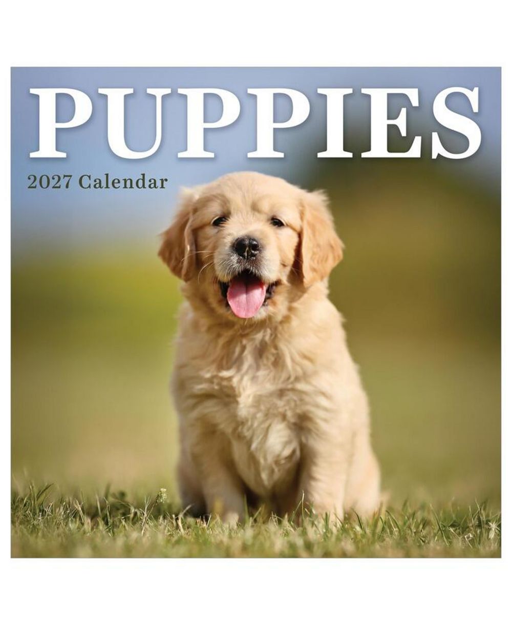 TF Publishing Paper Goods мини-календарь 2027 Puppies