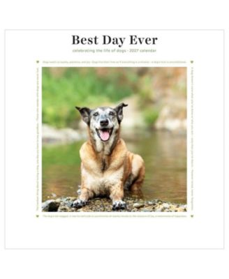 TF Publishing Paper Goods 2027 Best Day Ever Dogs Mini Calendar