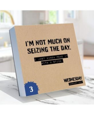 Настольный календарь TF Publishing Paper Goods 2027 Anti Affirmations/Daily Sarcasm