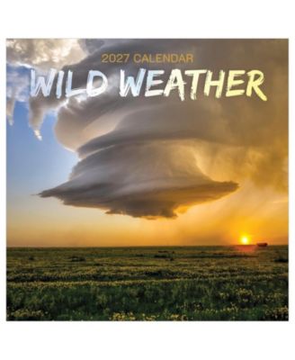 TF Publishing Paper Goods 2027 Wild Weather Wall Calendar