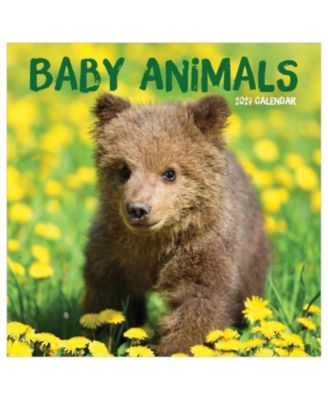 Настенный календарь TF Publishing Paper Goods 2027 Baby Animals