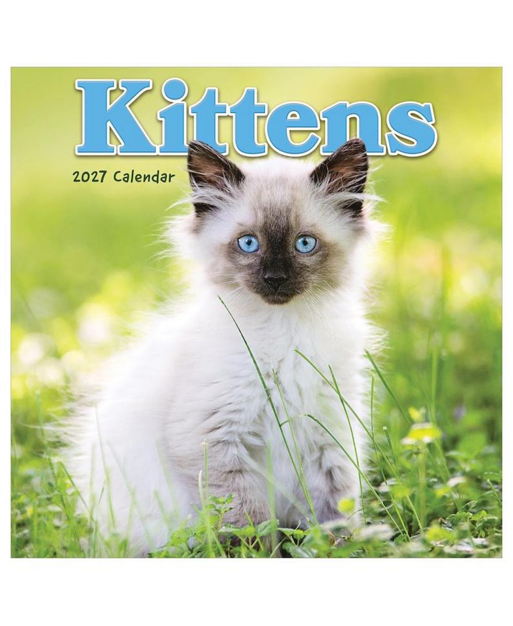 Мини-календарь TF Publishing Paper Goods 2027 Kittens