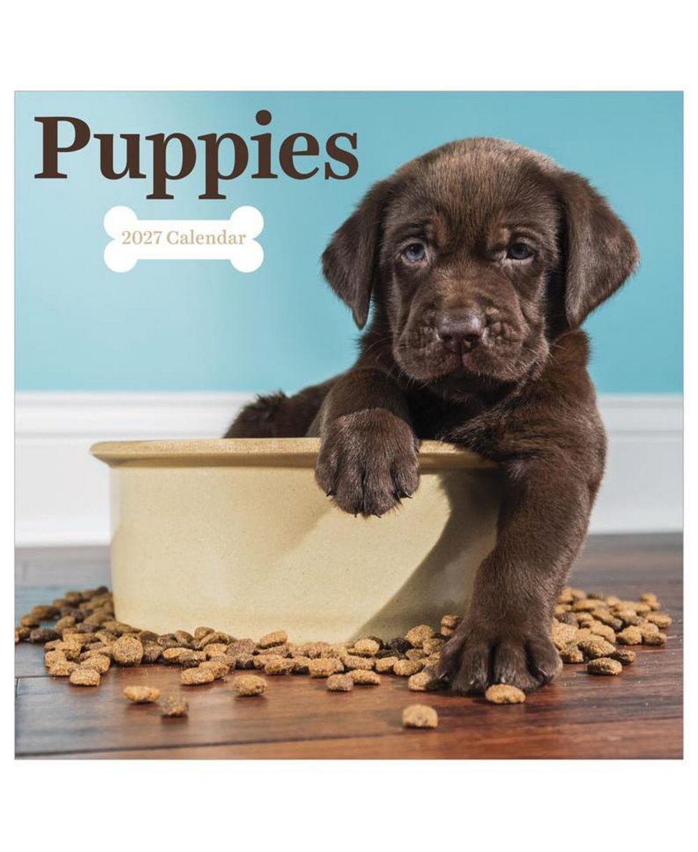 TF Publishing Paper Goods 2027 Puppies Wall Calendar