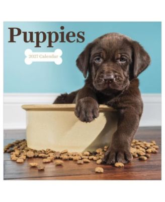 Настенный календарь TF Publishing Paper Goods 2027 Puppies