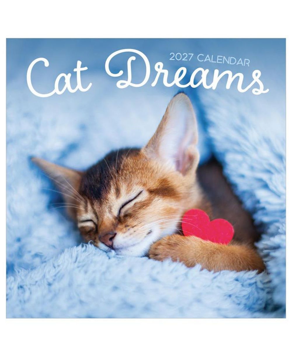 TF Publishing Paper Goods Настенный календарь 2027 Cat Dreams