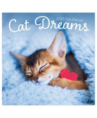 TF Publishing Paper Goods 2027 Cat Dreams Wall Calendar