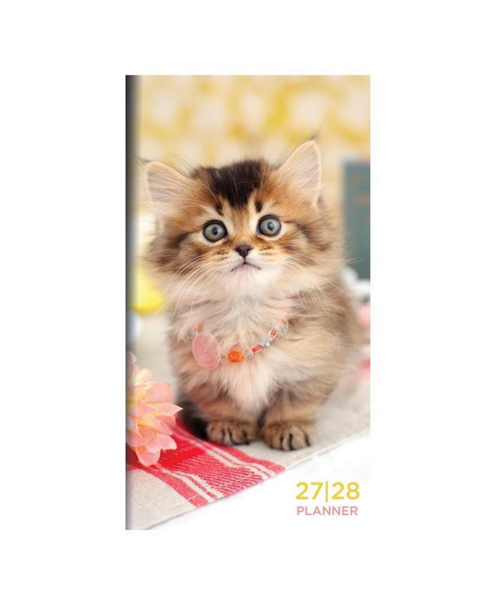 TF Publishing Paper Goods 2027-2028 Kitten Small Monthly Pocket Planner