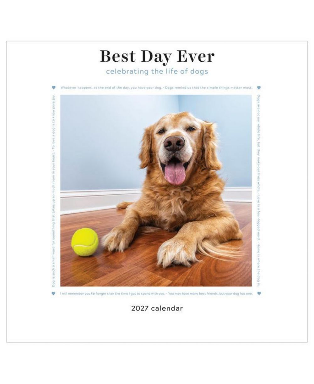 Настенный календарь TF Publishing Paper Goods 2027 Best Day Ever Celebrating The Life of Dogs