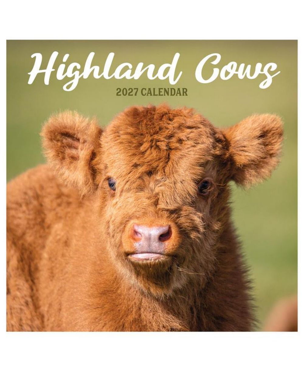 Настенный календарь TF Publishing Paper Goods 2027 Highland Cows