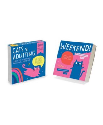 TF Publishing Paper Goods 2027 Cats vs Adulting by Amy Smyth Daily Desktop Calendar
