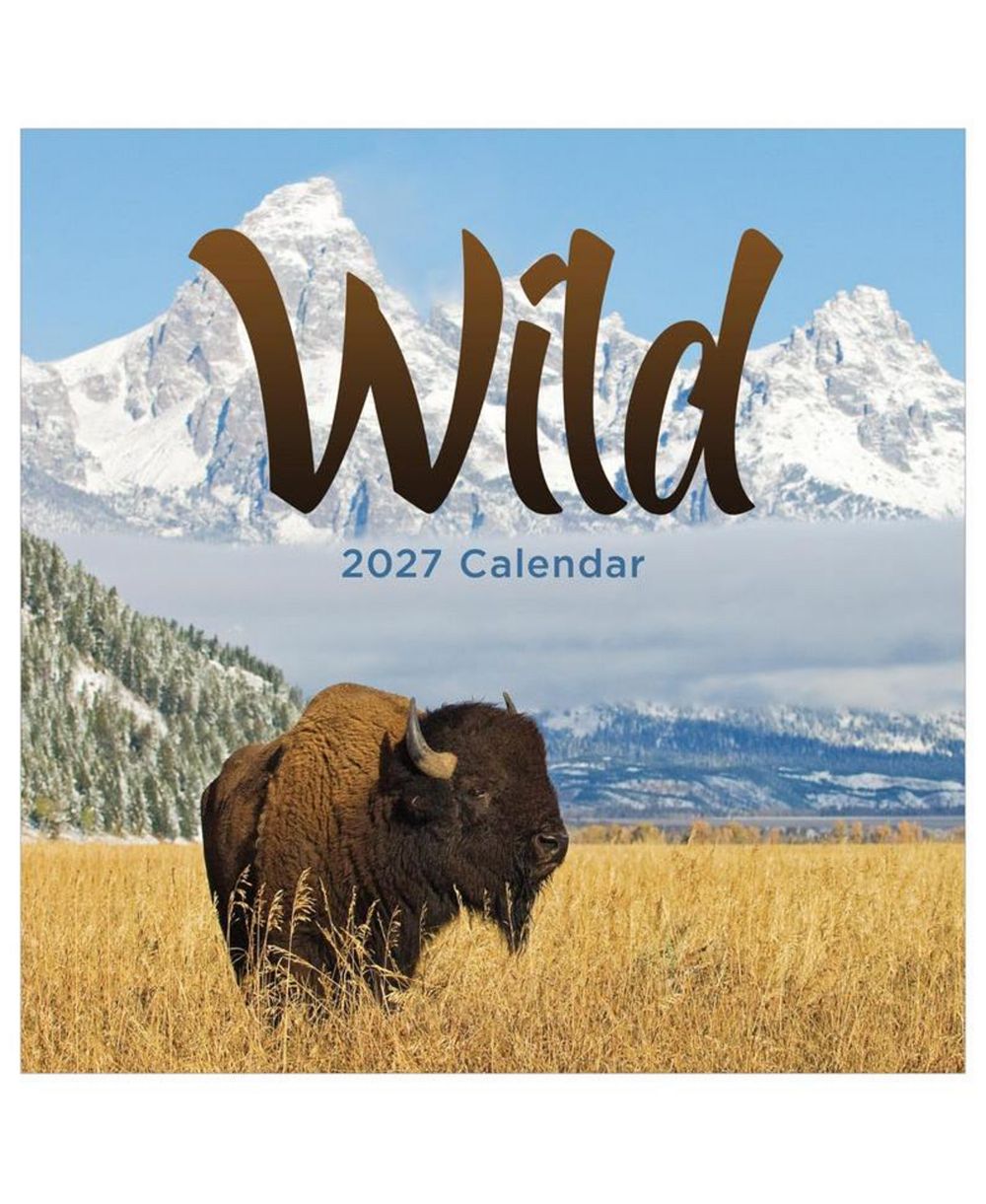 TF Publishing Paper Goods 2027 Wild Wall Calendar