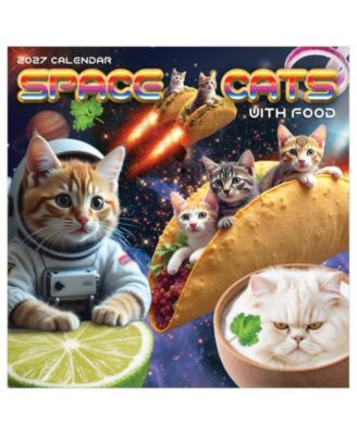 TF Publishing Paper Goods 2027 Space Cats Wall Calendar