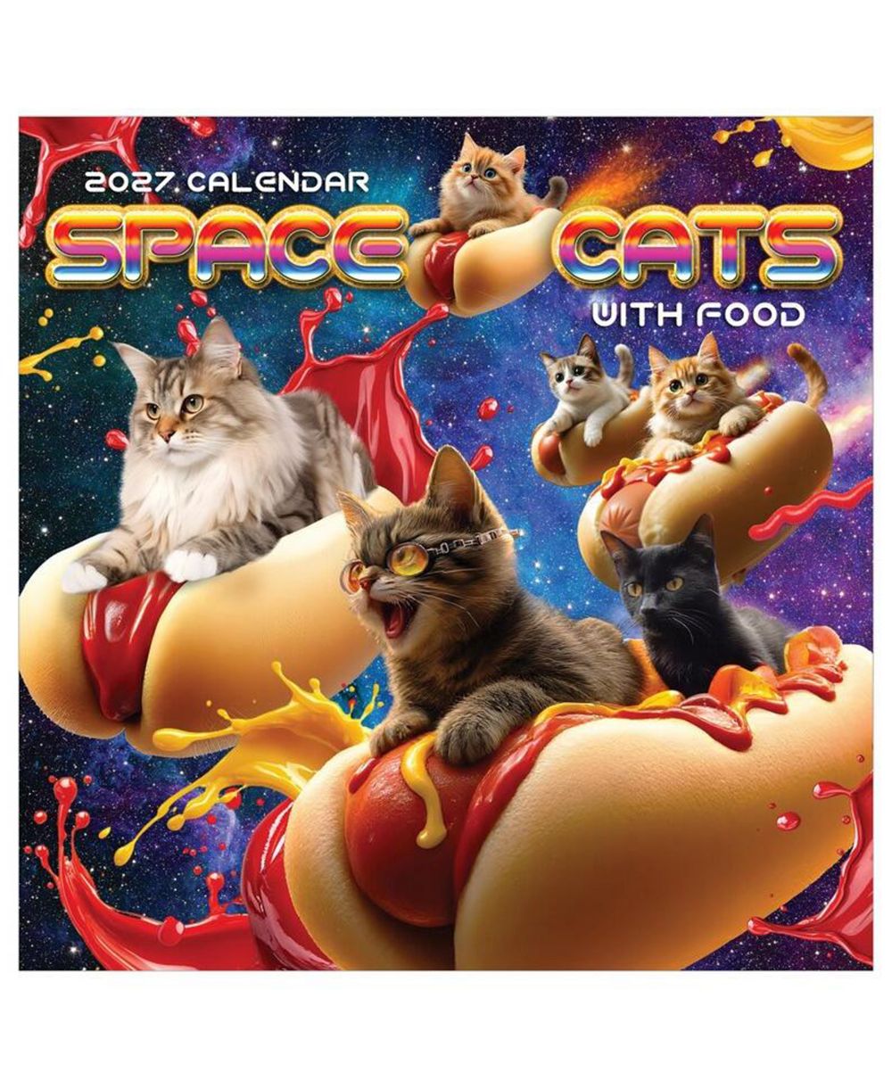Мини-календарь TF Publishing Paper Goods 2027 Space Cats