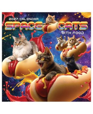Мини-календарь TF Publishing Paper Goods 2027 Space Cats