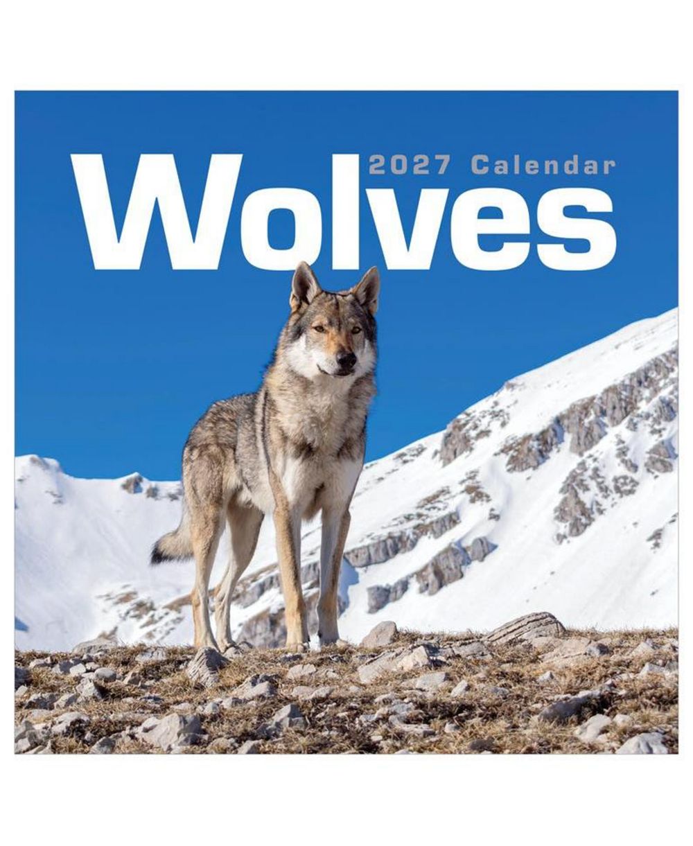 TF Publishing Paper Goods 2027 Wolves Wall Calendar настенный календарь 2027 Wolves