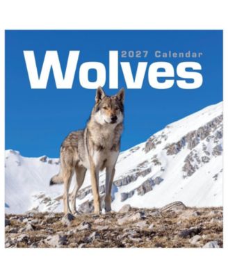 TF Publishing Paper Goods 2027 Wolves Wall Calendar настенный календарь 2027 Wolves