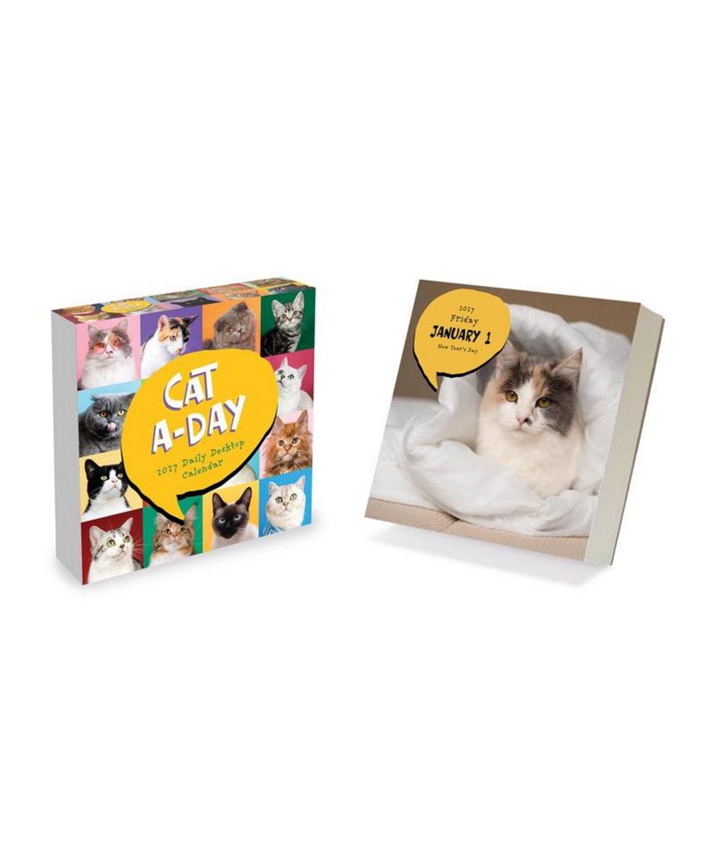 TF Publishing Paper Goods 2027 Cat A Day Daily Desktop Calendar