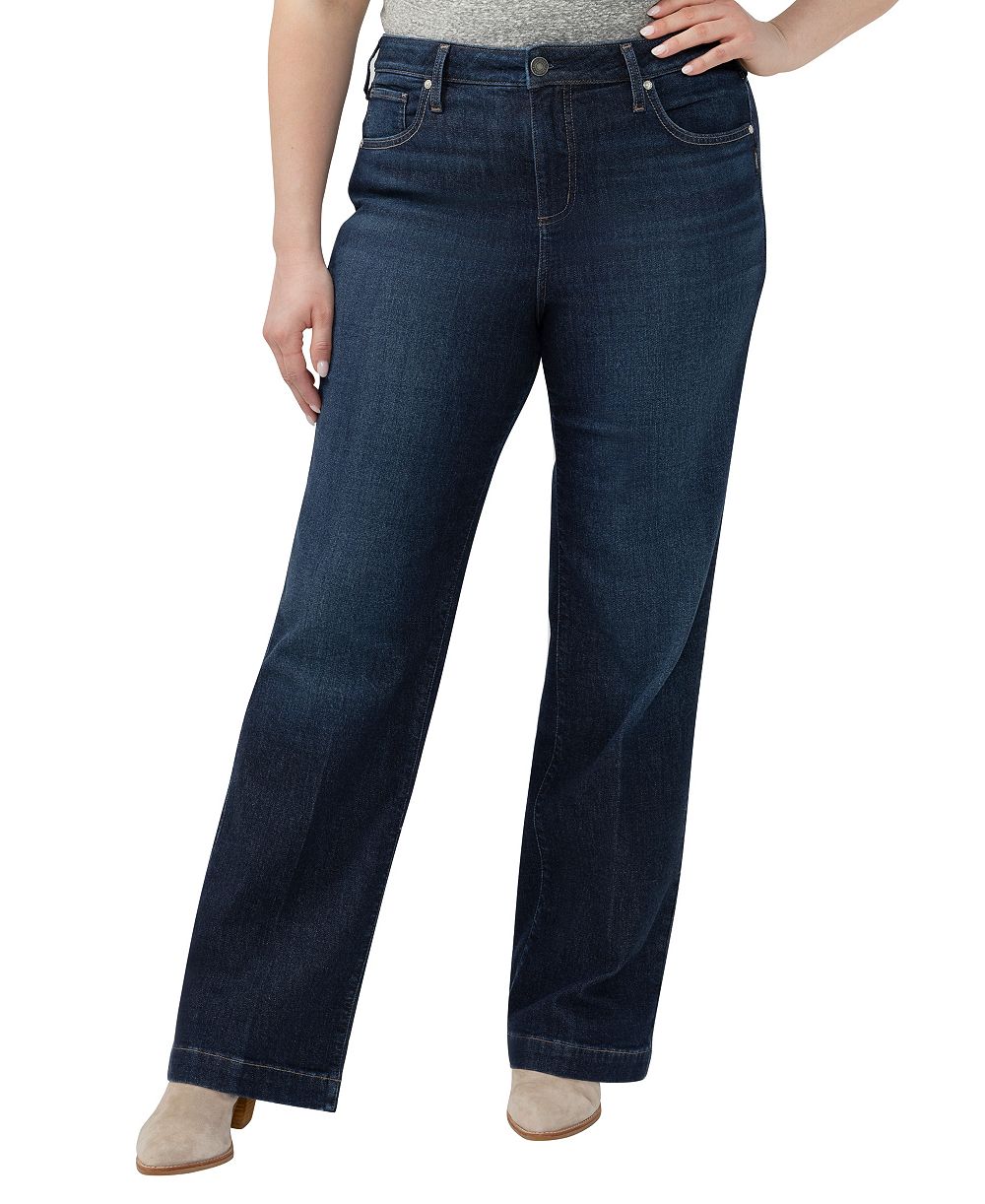 Silver Jeans Co. Plus Size Avery High-Rise Jeans