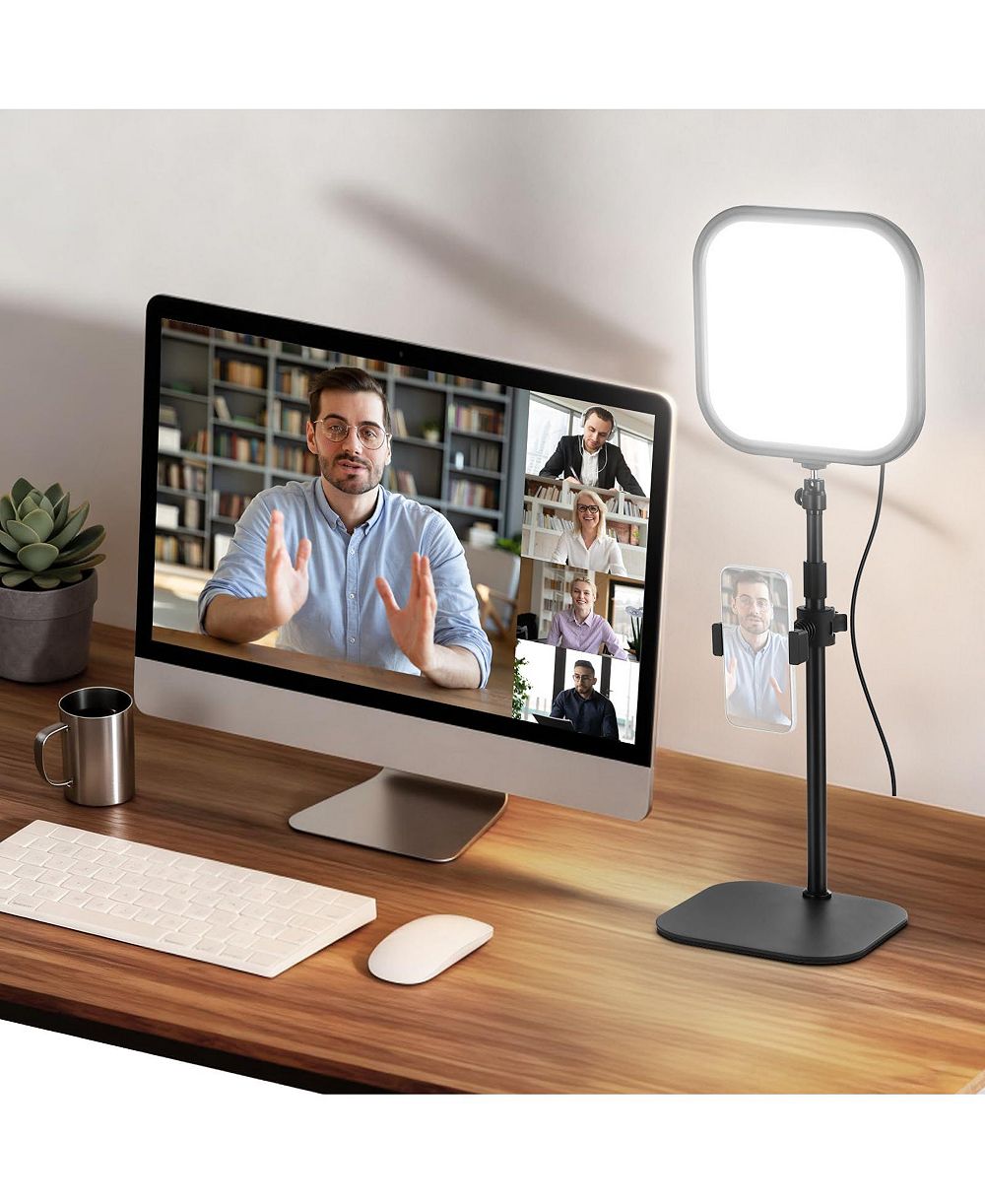 Neewer Basics 10.8" Video Conference Lighting, L220