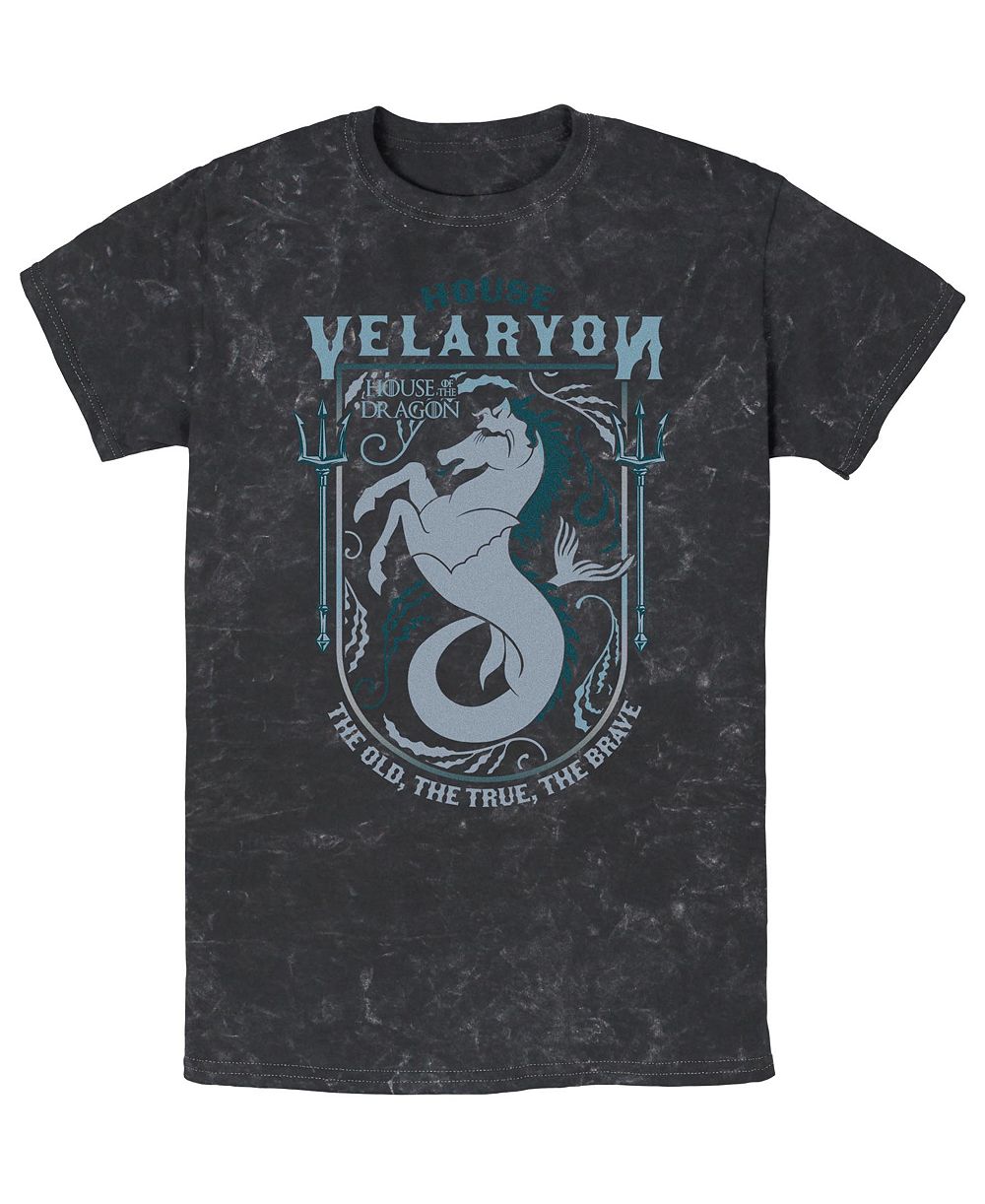 Fifth Sun мужская хлопковая футболка с круглым вырезом и графикой Velaryon из House of the Dragon с эффектом минеральной стирки