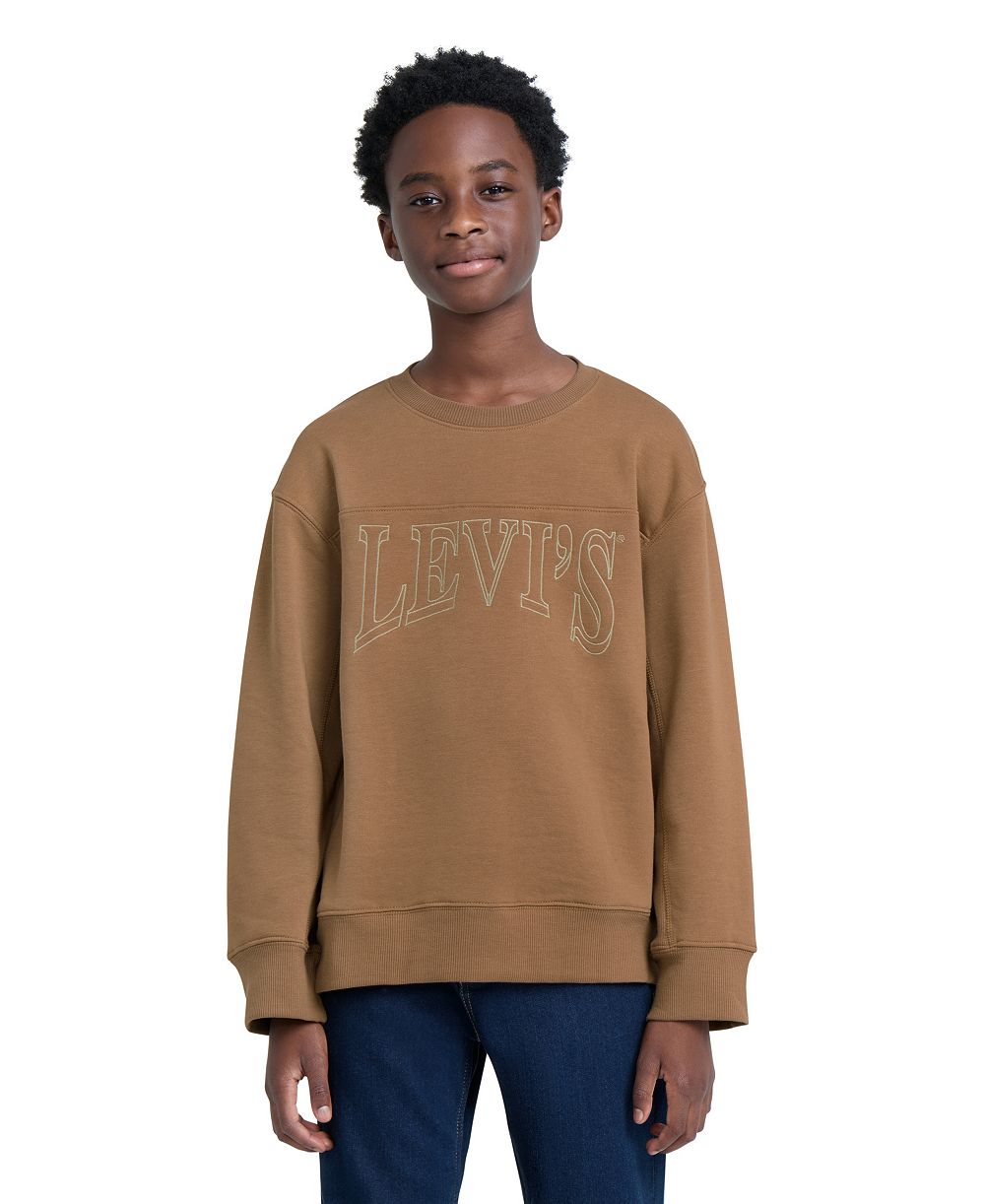 Levi's Boys' 8-20 Vintage Collegiate Long-Sleeve Embroidered Crewneck Sweatshirt