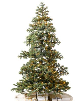 Balsam Hill 9' Pre-Lit Yukon Spruce® LED Micro Artificial Christmas Tree