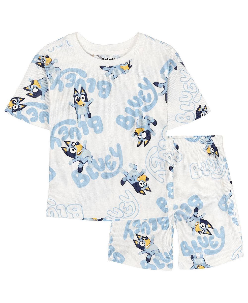 Bluey Toddler Boys' 2T- 4T 2-Piece T-Shirt and Shorts Set