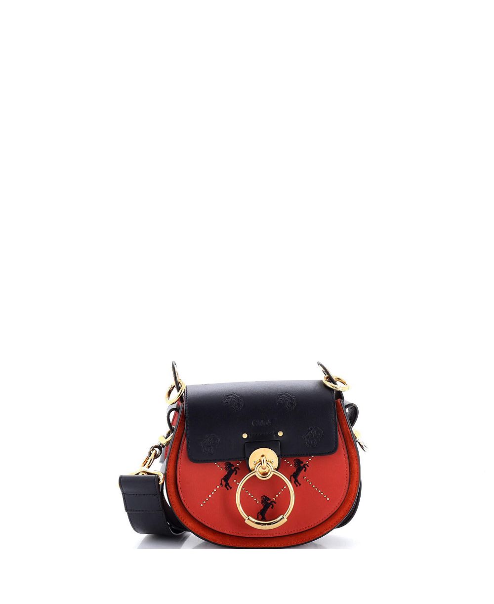 Pre-Owned Chloe Small Tess сумка из вышитой кожи