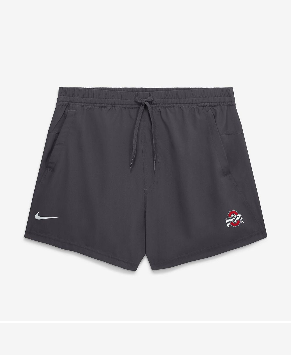 Nike Men's Anthracite Ohio State Buckeyes Primary Logo Form Shorts