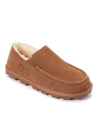 Chestnut