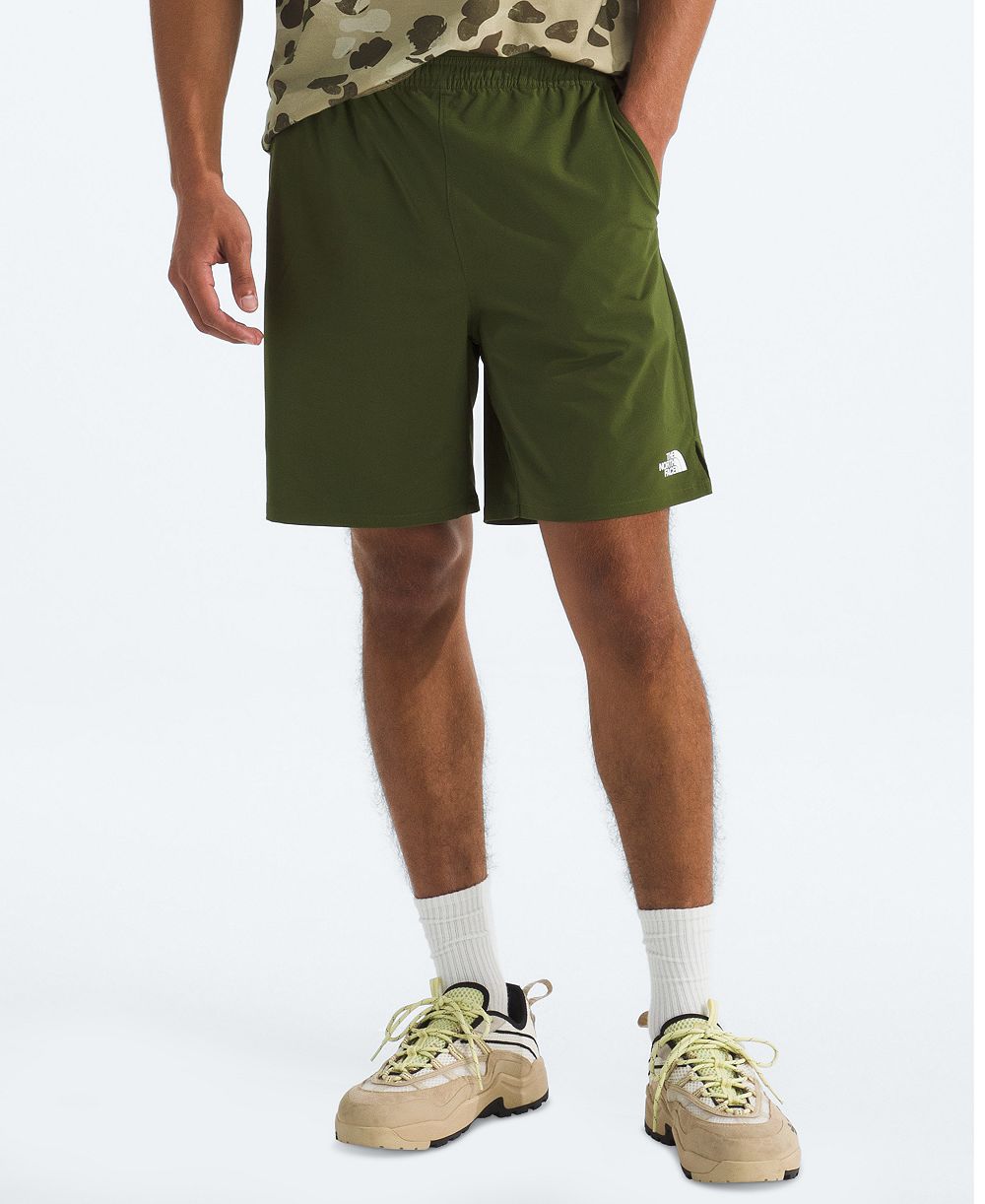 Мужские шорты The North Face Wander Regular-Fit
