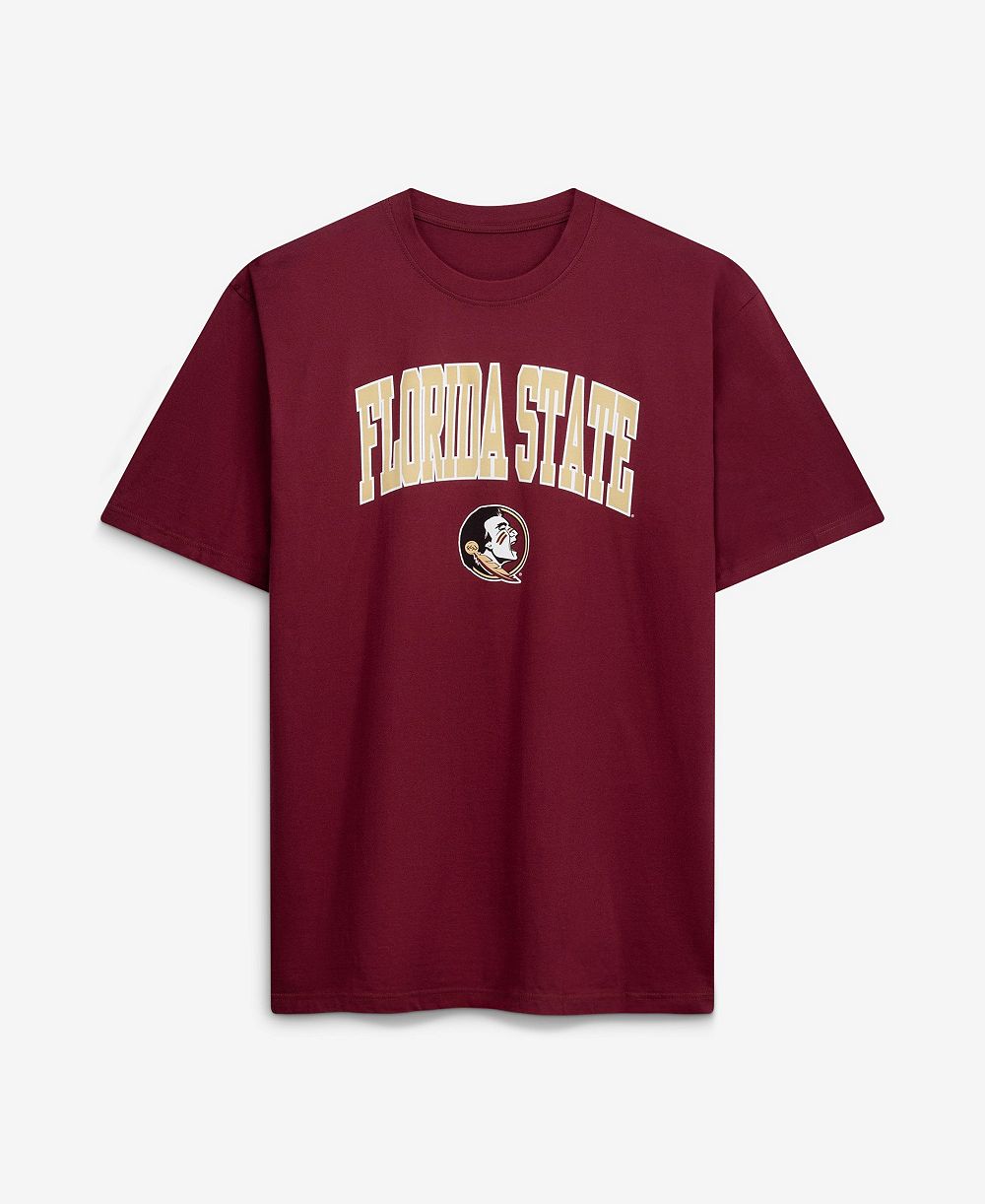 Champion Men's Garnet Florida State Seminoles Big & Tall Team Arch Over Wordmark T-Shirt