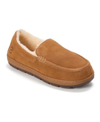Chestnut