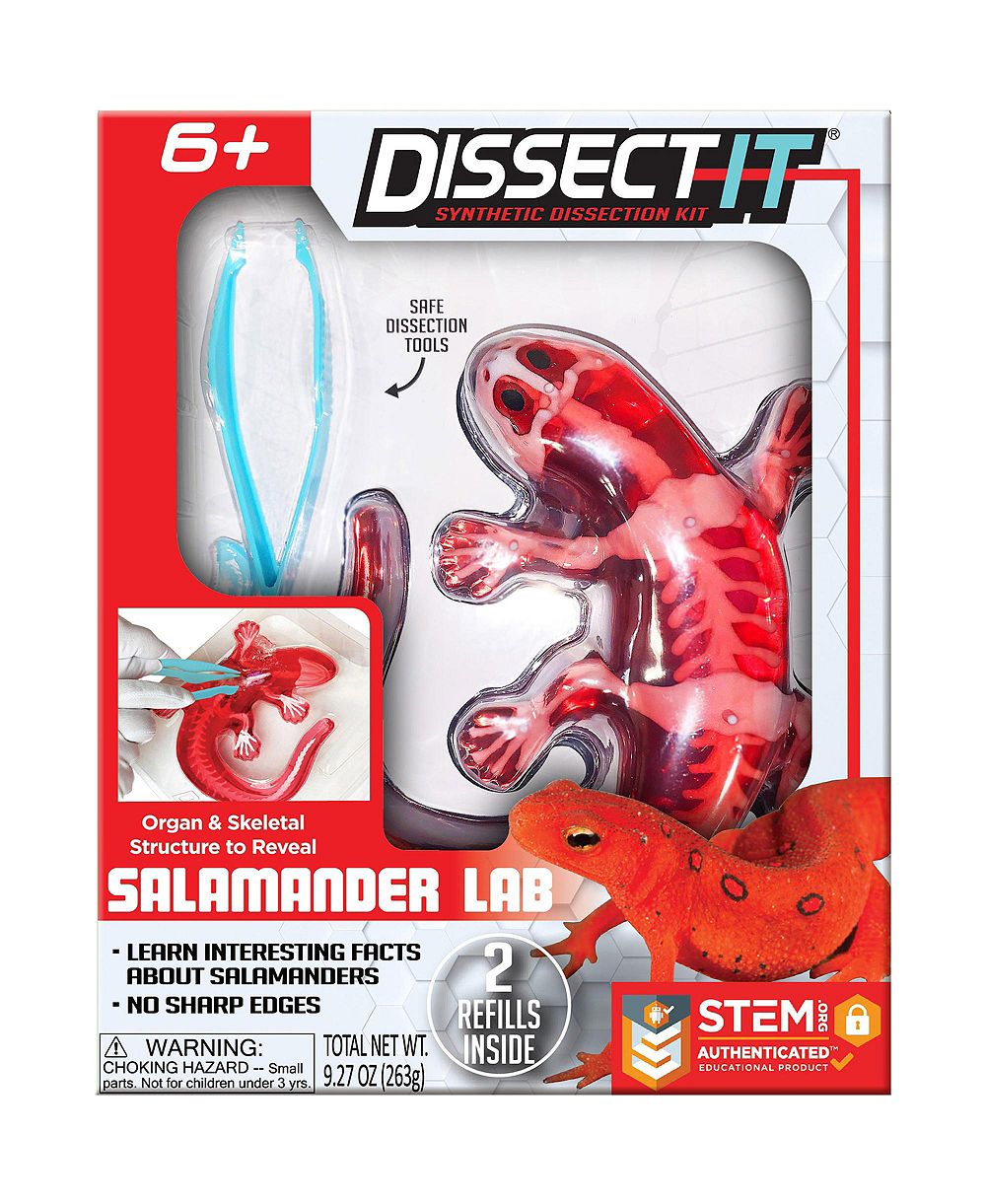 Игрушка Dissect-It для изучения анатомии саламандра, для возраста 6+
