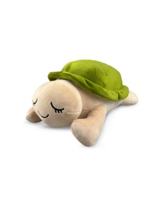 Ivy the turtle