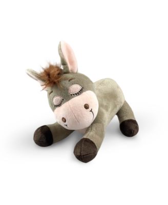 Chewy the donkey