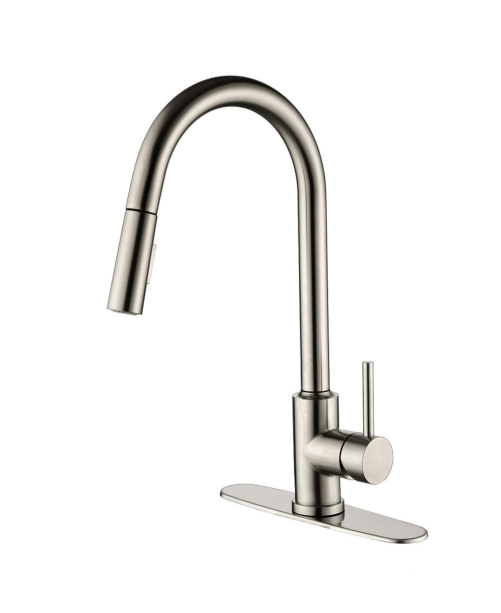 Single Handle Stainless Steel Pull-Out Kitchen Faucet with 2-Mode Sprayer and 360degree(s) Swivel Spout